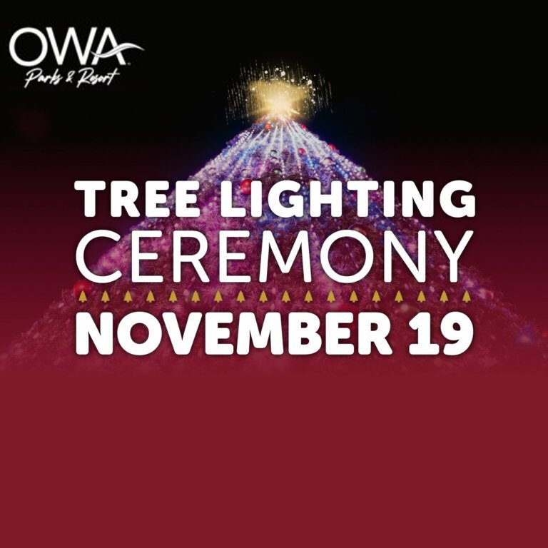 OWA Tree Lighting Ceremony Foley