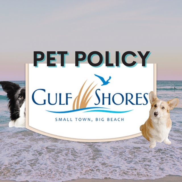 GS Pet Policy - 1
