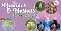 Bunnies and Baskets