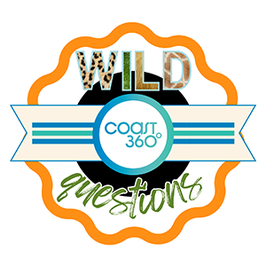 Coast360 Wild Questions Seal- small.png