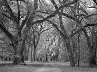 Historic Blakeley State Park