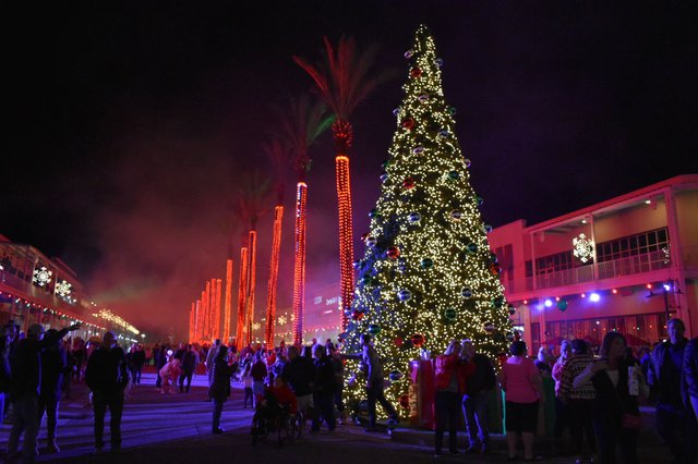 Christmas Tree Lighting at The Wharf